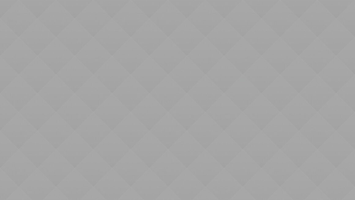 06 The Dutch painter Vermeer